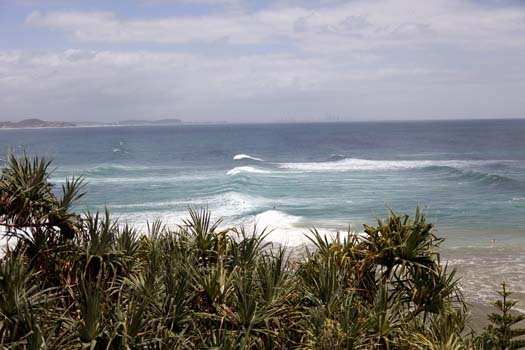 AUS QLD SnapperRocks 2011JAN15 004