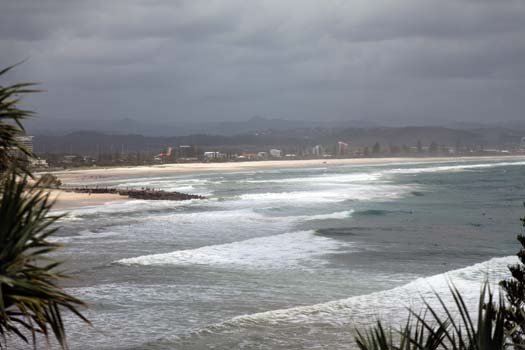 AUS QLD SnapperRocks 2011JAN15 012