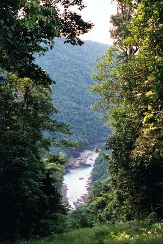 AUS QLD SouthJohnsonRiver 2001JUL17 001