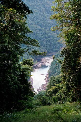 AUS QLD SouthJohnsonRiver 2001JUL17 002