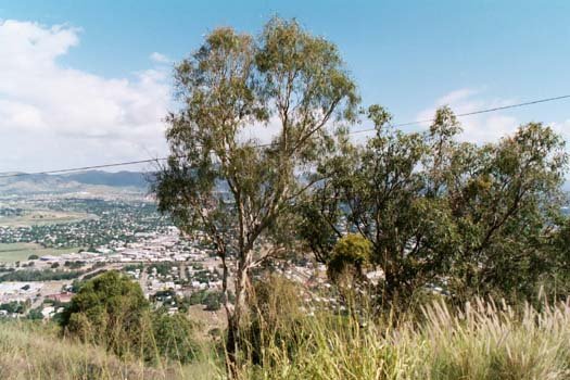 AUS QLD Townsville 20034APR14 CastleHill 008