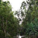 AUS QLD Townsville 2009FEB14 RossRiver 021 : 2009, Australia, Date, February, Month, Places, QLD, Ross River, Townsville, Year