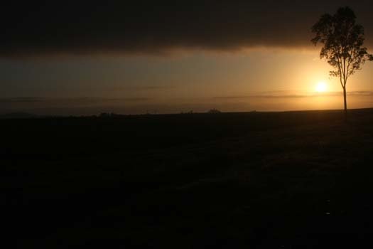AUS QLD Walkerston 2010SEPT15 002