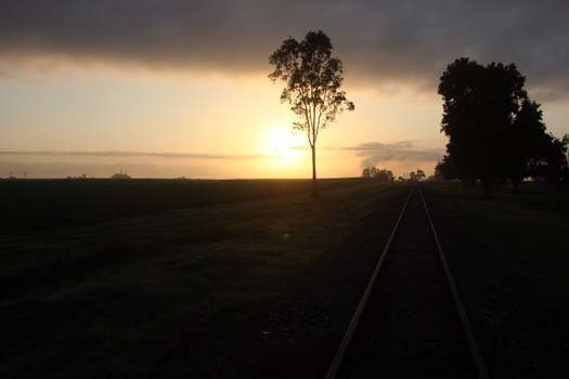 AUS QLD Walkerston 2010SEPT15 003
