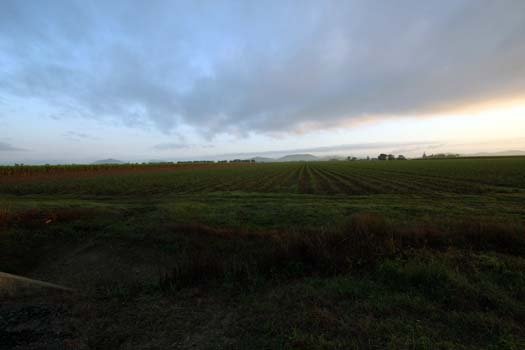 AUS QLD Walkerston 2010SEPT15 004