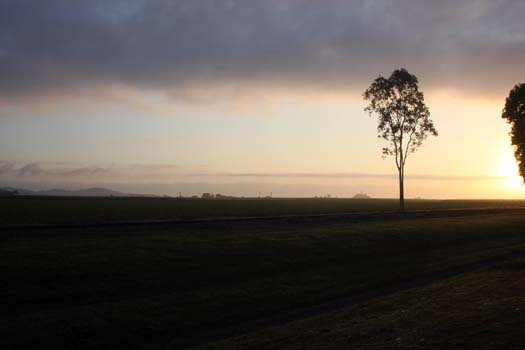 AUS QLD Walkerston 2010SEPT15 006