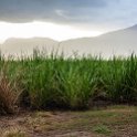 AUS QLD Walkerston 2013MAR20 003 : 2013, 2013 - Going Coastal Road Trip, Australia, Date, March, Month, Places, QLD, Trips, Walkerston, Year