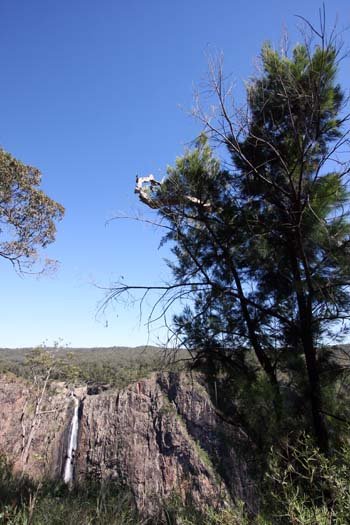 AUS QLD WallamanFalls 2009JUL17 008