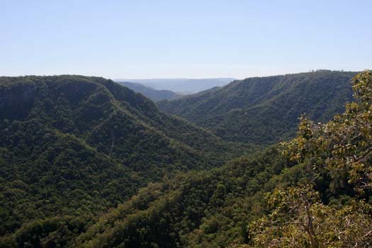 AUS QLD WallamanFalls 2009JUL17 023