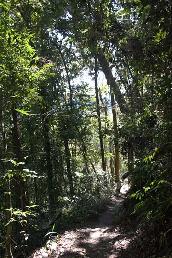 AUS QLD WallamanFalls 2009JUL17 026
