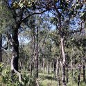 AUS_QLD_WallamanFalls_2009JUL17_012.jpg