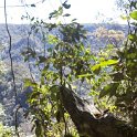 AUS QLD WallamanFalls 2009JUL17 029 : 2009, Australia, Date, July, Month, Places, QLD, Wallaman Falls, Year