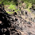 AUS_QLD_WallamanFalls_2009JUL17_045.jpg