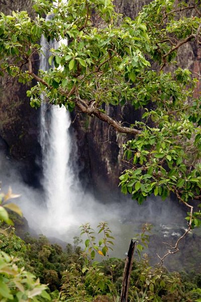 AUS QLD WallamanFalls 2010OCT20 007