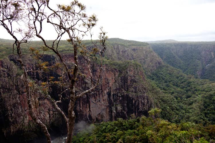 AUS QLD WallamanFalls 2010OCT20 013