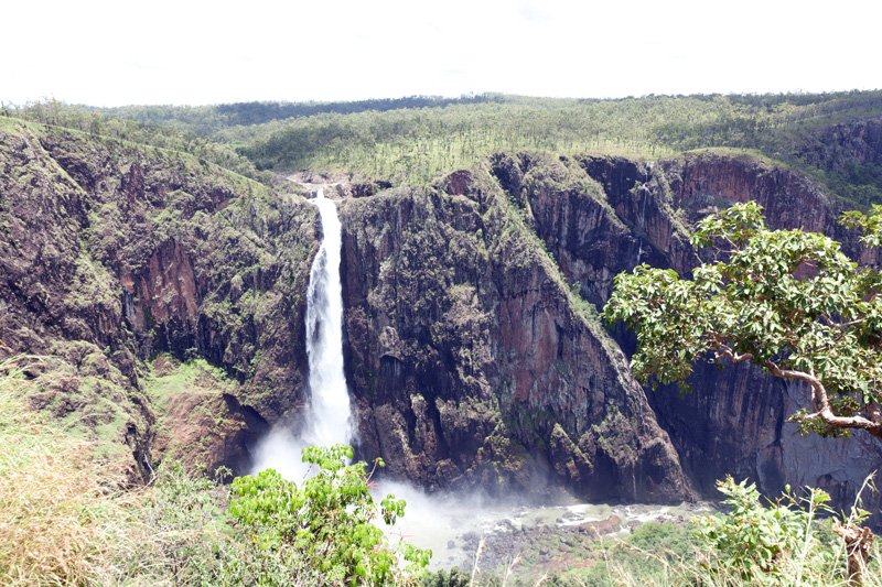 AUS QLD WallamanFalls 2012FEB10 005