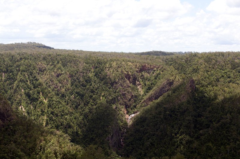 AUS QLD WallamanFalls 2012FEB10 021