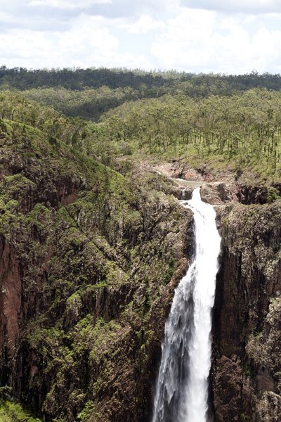 AUS QLD WallamanFalls 2012FEB10 024