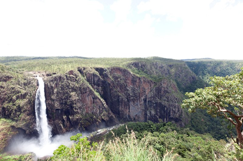 AUS QLD WallamanFalls 2012FEB10 028