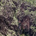 AUS QLD WallamanFalls 2012FEB10 023 : 2012, Australia, Date, February, Month, Places, QLD, Wallaman Falls, Year