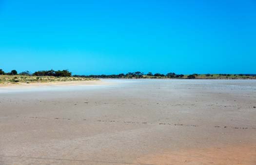 AUS SA LakeEverard 2010OCT08 004