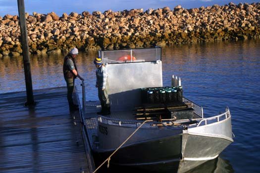 AUS SA SmokyBay 2004MAY25 010