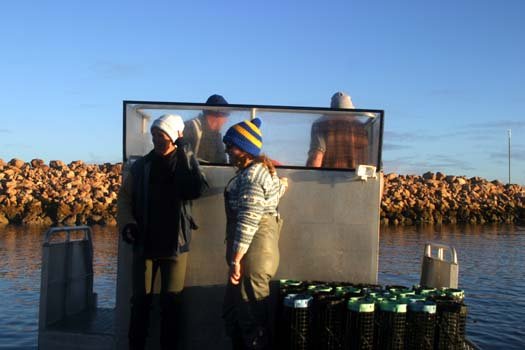 AUS SA SmokyBay 2004MAY25 012