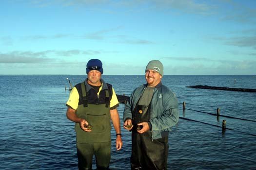 AUS SA SmokyBay 2004MAY25 027