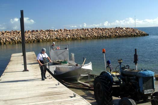 AUS SA SmokyBay 2004MAY25 052