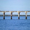 AUS SA SmokyBay 2004MAY25 044  This jetty was filled with thousands of bird catching some sun on a chilly morning. I like this photo a lot as it's so simple, but says a lot. : 2004, 2004 - The "Get Fluxed" Australian Tour, Australia, Date, May, Month, Places, SA, Smoky Bay, Trips, Year