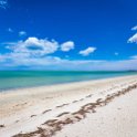 AUS SA Whyalla 2018NOV01 Forshore 007 : - DATE, - PLACES, - TRIPS, 10's, 2018, 2018 - Hi Whyalla, Australia, Day, Foreshore, Month, November, SA, Thursday, Whyalla, Year