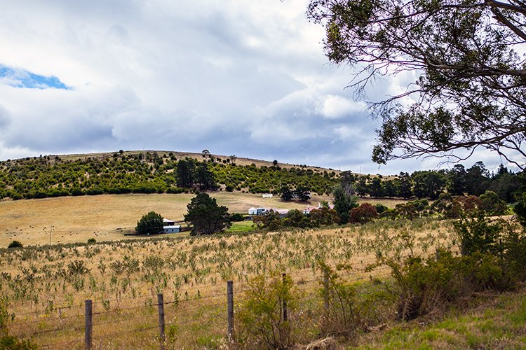 AUS TAS Hamilton 2015JAN25 010