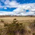 AUS TAS Hamilton 2015JAN25 003 : 2015, 2015 - Tasmanian Travels, Australia, Date, Hamilton, January, Month, Places, TAS, Trips, Year