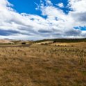 AUS TAS Hamilton 2015JAN25 004 : 2015, 2015 - Tasmanian Travels, Australia, Date, Hamilton, January, Month, Places, TAS, Trips, Year