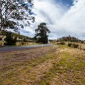 AUS TAS Hamilton 2015JAN25 006 : 2015, 2015 - Tasmanian Travels, Australia, Date, Hamilton, January, Month, Places, TAS, Trips, Year