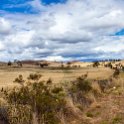 AUS TAS Hamilton 2015JAN25 007 : 2015, 2015 - Tasmanian Travels, Australia, Date, Hamilton, January, Month, Places, TAS, Trips, Year