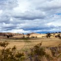 AUS TAS Hamilton 2015JAN25 008 : 2015, 2015 - Tasmanian Travels, Australia, Date, Hamilton, January, Month, Places, TAS, Trips, Year