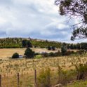 AUS TAS Hamilton 2015JAN25 010 : 2015, 2015 - Tasmanian Travels, Australia, Date, Hamilton, January, Month, Places, TAS, Trips, Year