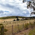 AUS TAS Hamilton 2015JAN25 011 : 2015, 2015 - Tasmanian Travels, Australia, Date, Hamilton, January, Month, Places, TAS, Trips, Year