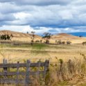 AUS TAS Hamilton 2015JAN25 015 : 2015, 2015 - Tasmanian Travels, Australia, Date, Hamilton, January, Month, Places, TAS, Trips, Year