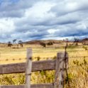 AUS TAS Hamilton 2015JAN25 018 : 2015, 2015 - Tasmanian Travels, Australia, Date, Hamilton, January, Month, Places, TAS, Trips, Year