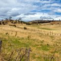 AUS TAS Hamilton 2015JAN25 020 : 2015, 2015 - Tasmanian Travels, Australia, Date, Hamilton, January, Month, Places, TAS, Trips, Year