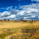 AUS TAS Hamilton 2015JAN25 022 : 2015, 2015 - Tasmanian Travels, Australia, Date, Hamilton, January, Month, Places, TAS, Trips, Year