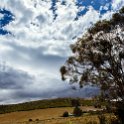 AUS TAS Hamilton 2015JAN25 023 : 2015, 2015 - Tasmanian Travels, Australia, Date, Hamilton, January, Month, Places, TAS, Trips, Year