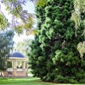 AUS TAS Hobart 2015JAN24 SaintDavidsPark 001 : 2015, 2015 - Tasmanian Travels, Australia, Date, Hobart, January, Month, Places, Saint Davids Park, TAS, Trips, Year