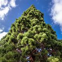 AUS TAS Hobart 2015JAN24 SaintDavidsPark 003 : 2015, 2015 - Tasmanian Travels, Australia, Date, Hobart, January, Month, Places, Saint Davids Park, TAS, Trips, Year