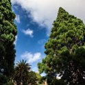 AUS TAS Hobart 2015JAN24 SaintDavidsPark 006 : 2015, 2015 - Tasmanian Travels, Australia, Date, Hobart, January, Month, Places, Saint Davids Park, TAS, Trips, Year