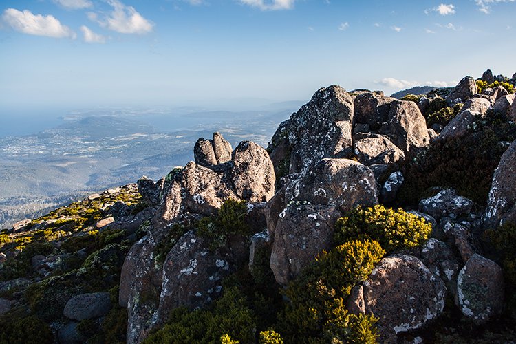 AUS TAS MountWellington 2015JAN24 006