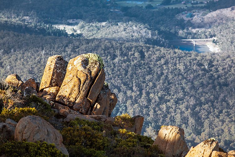 AUS TAS MountWellington 2015JAN24 024