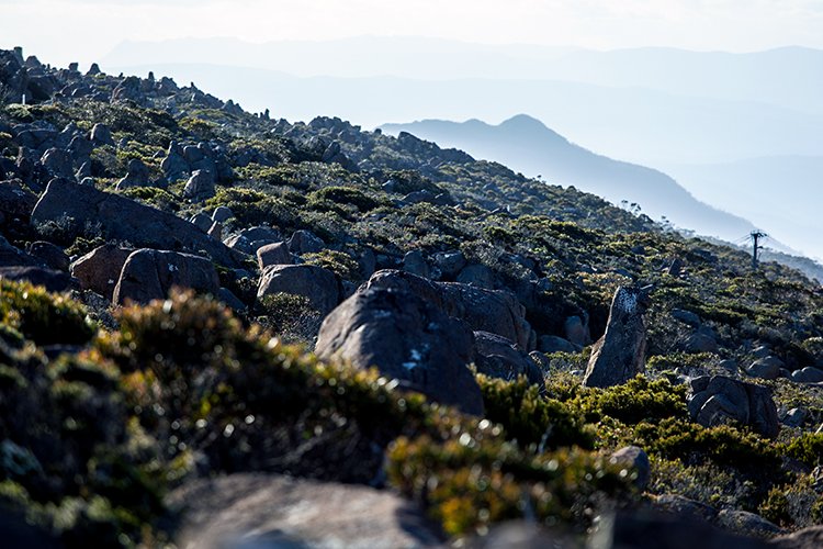 AUS TAS MountWellington 2015JAN24 028